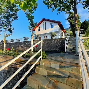 Xhuli Shkodra
